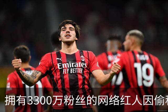 拥有3300万粉丝的网络红人因偷税遭重罚